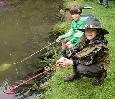 Pond dipping 2 crop